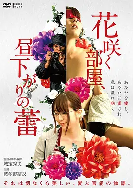 布鲁伊特别篇合集免费播放